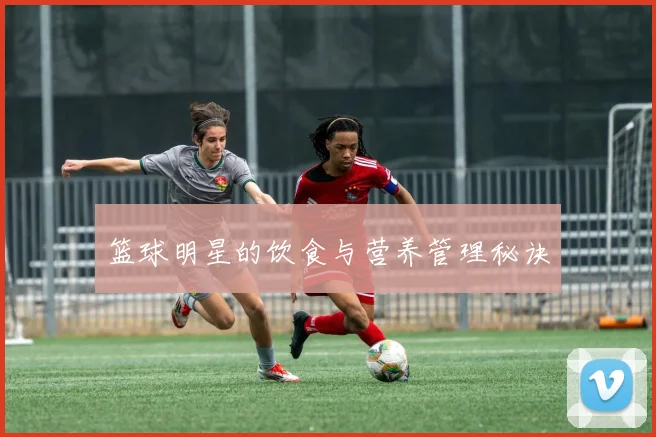篮球明星的饮食与营养管理秘诀