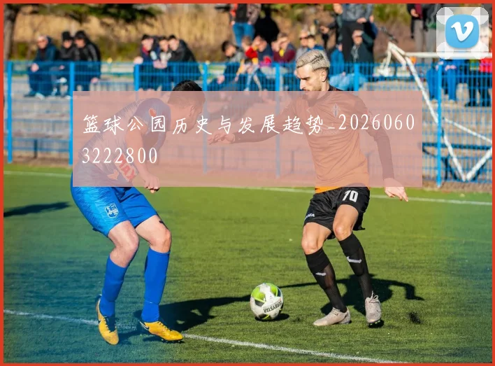 篮球公园历史与发展趋势_20260603222800