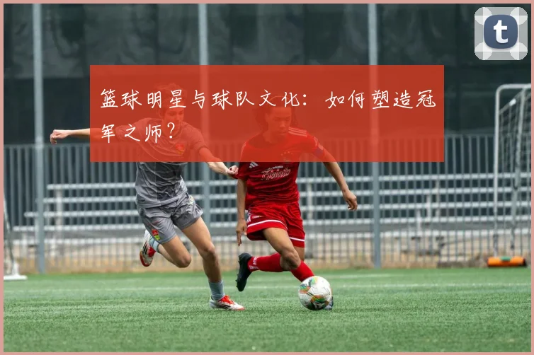 篮球明星与球队文化:如何塑造冠军之师?
