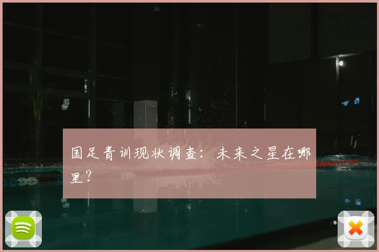 国足青训现状调查:未来之星在哪里?